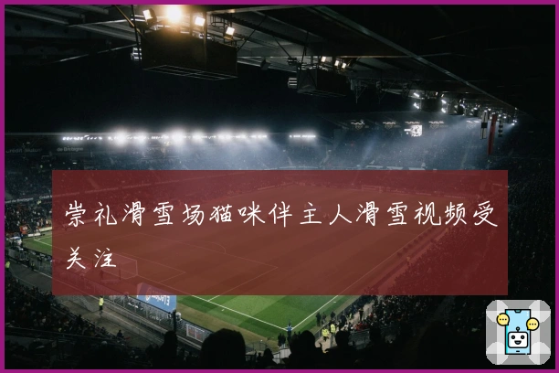 崇礼滑雪场猫咪伴主人滑雪视频受关注