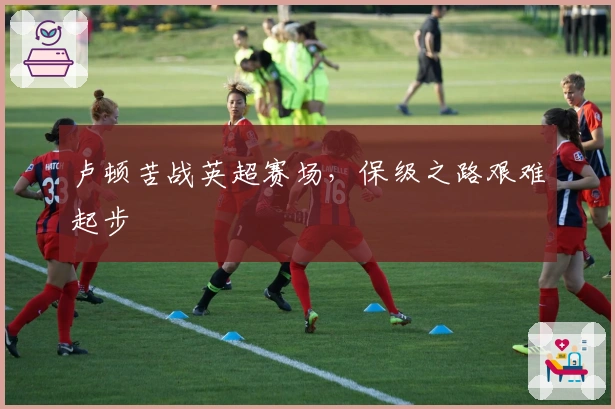 卢顿苦战英超赛场，保级之路艰难起步